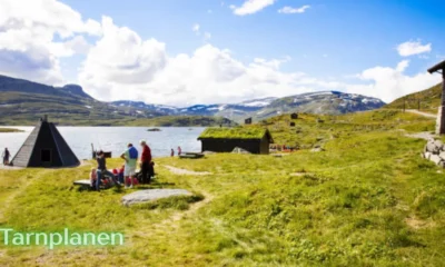 tarnplanen
