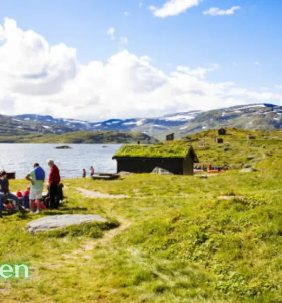tarnplanen