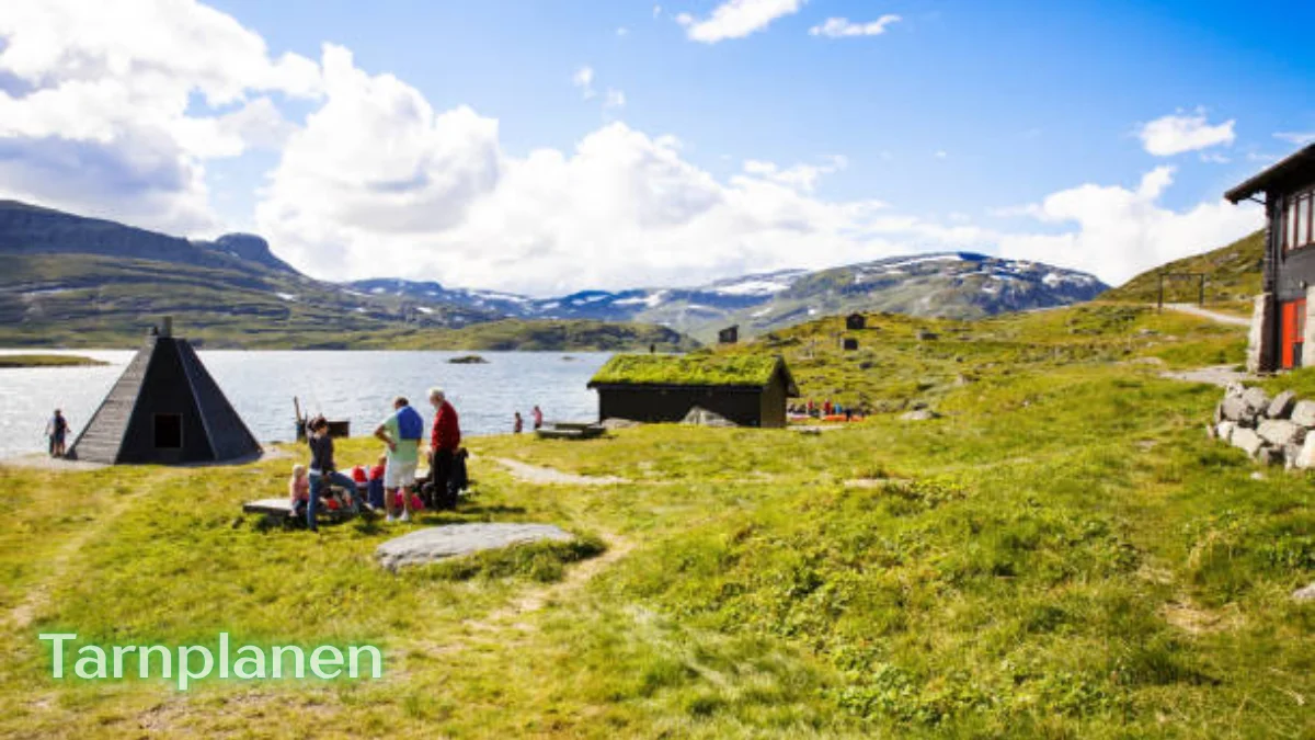 tarnplanen