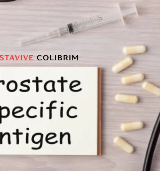 prostavive colibrim