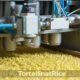 tortellinatrice