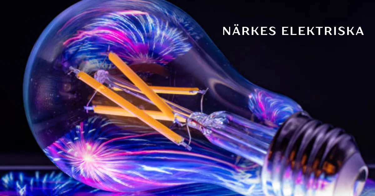 närkes elektriska
