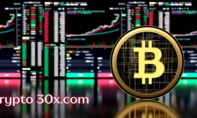 Crypto 30x.com
