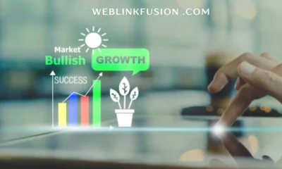 weblinkfusion .com