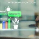 weblinkfusion .com