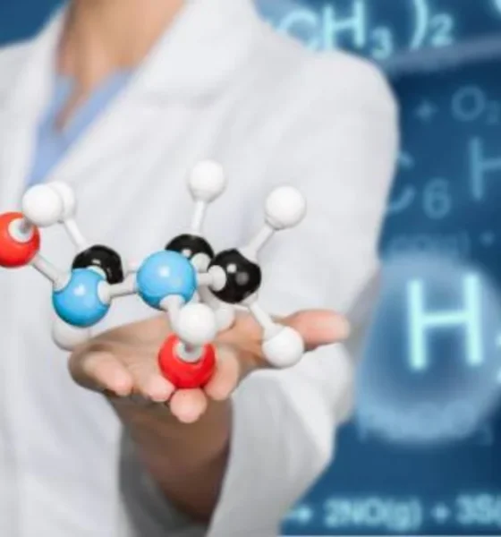 doctorhub360.com amino acids